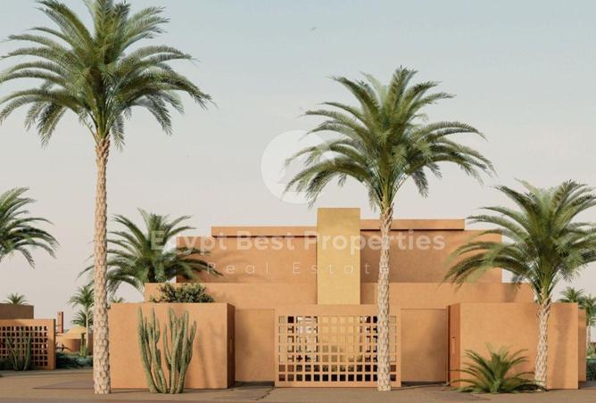 8428377 - Property Image 3