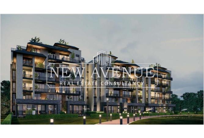 8252063 - Property Image 2