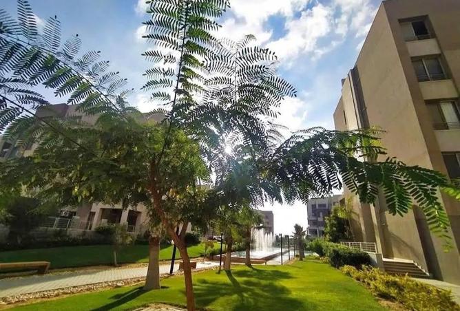 8535624 - صورة العقار 3