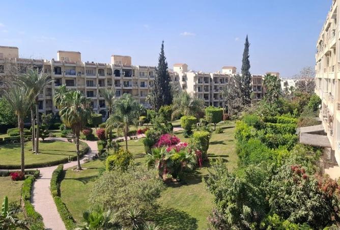 8240878 - الصورة الرئيسية للعقار