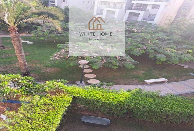 8183050 - Property Image 3