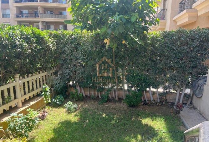 8135645 - Property Image 3