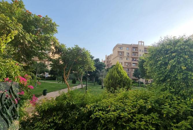 8182988 - صورة العقار 3