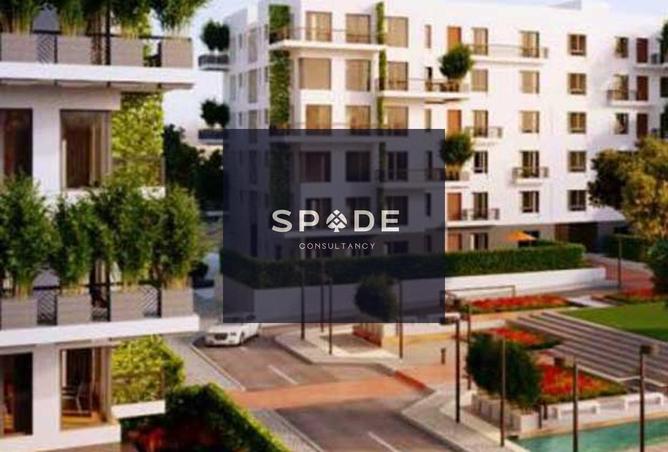 8089104 - Property Image 3
