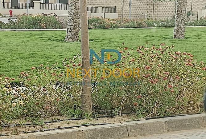 7986187 - صورة العقار 3