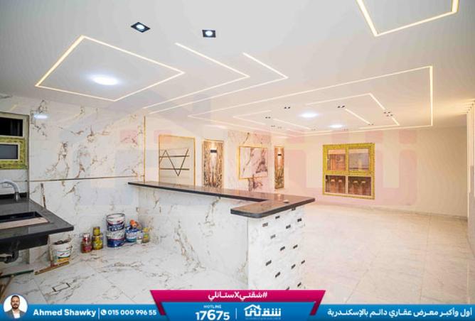 8387854 - Property Image 2