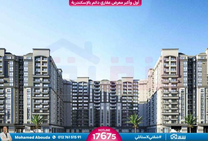 8276856 - Property Image 2