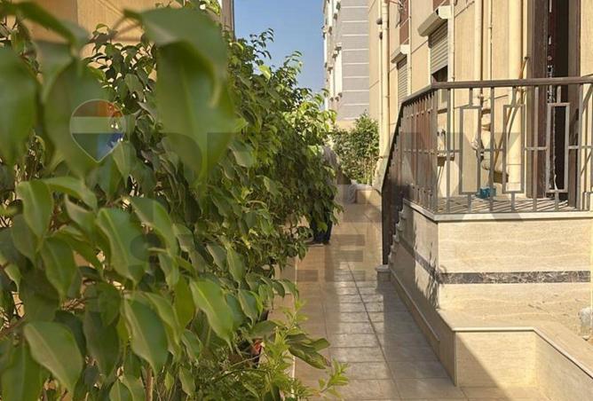 7972932 - Property Image 3