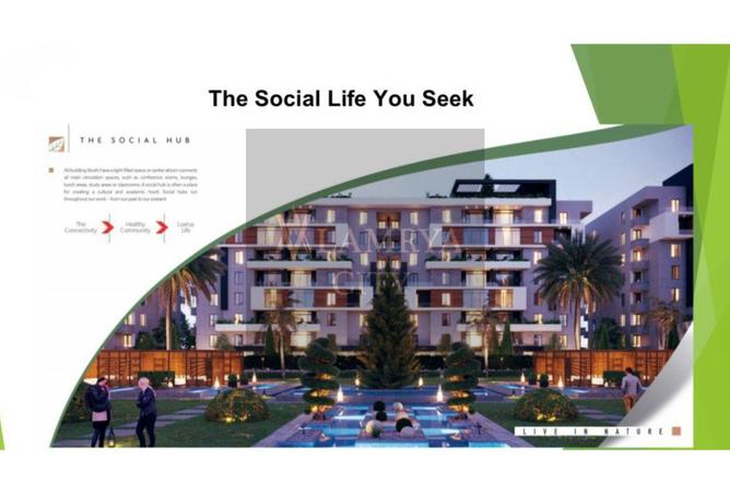 8350420 - Property Image 3