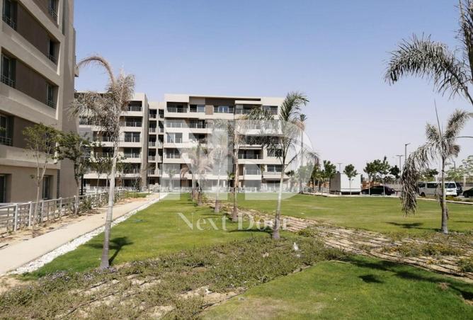 8303034 - صورة العقار 3