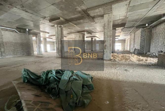 8117686 - Property Image 3