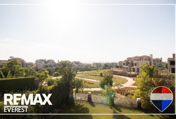 8458915 - صورة العقار 3