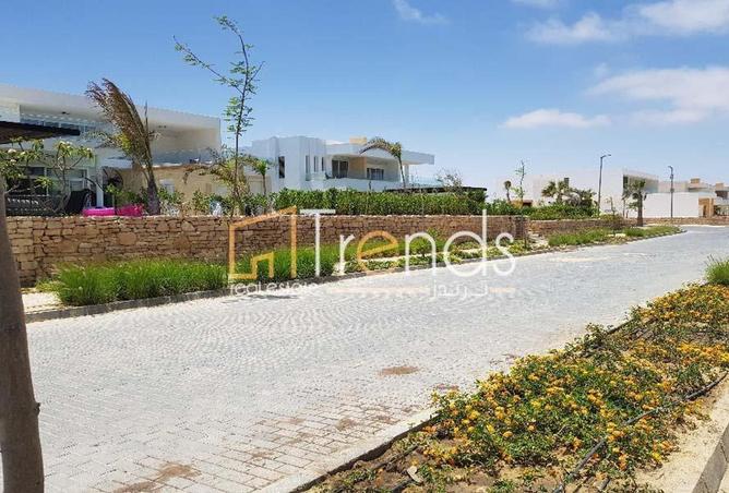 8393326 - صورة العقار 2