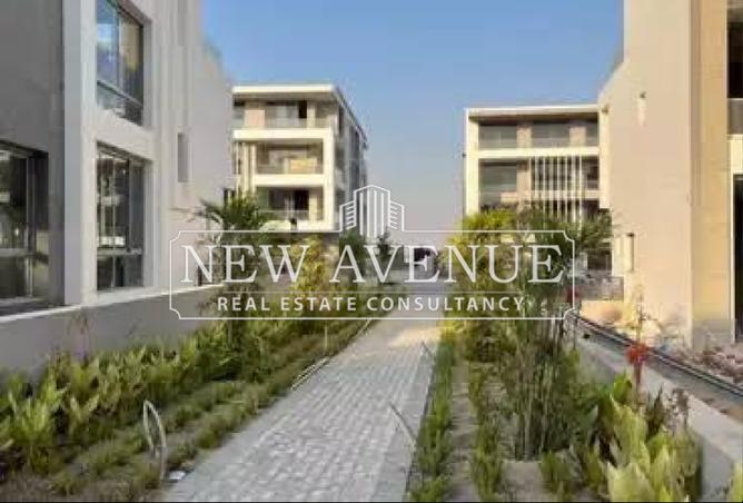8090266 - Property Image 3