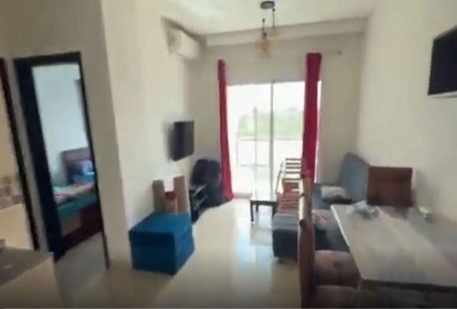 8415174 - Property Image 3