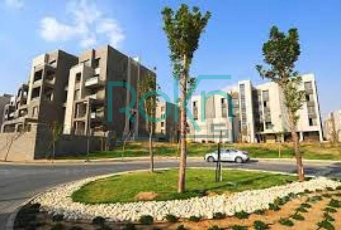 8231629 - صورة العقار 3