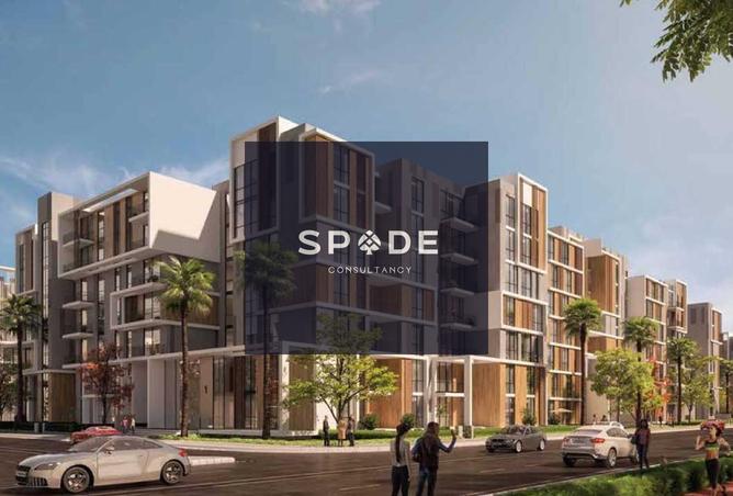 8235552 - Property Image 3