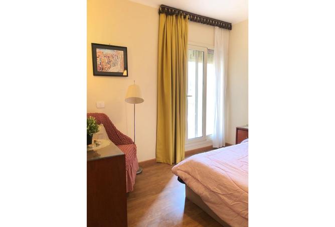 7987827 - Property Image 3