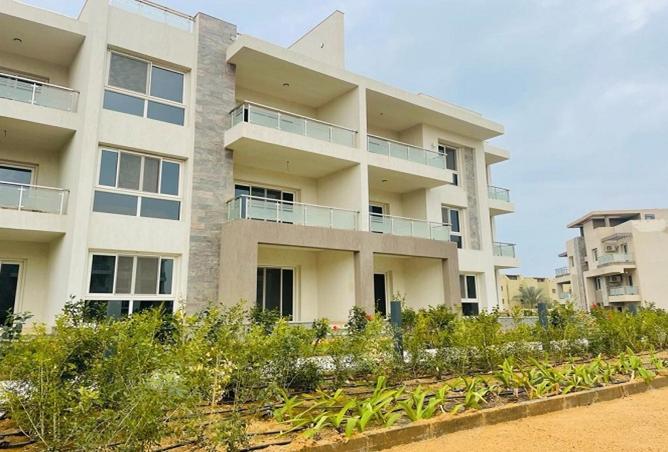 8473658 - Property Image 3