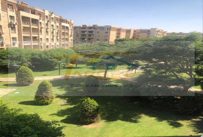7975386 - Property Image 2