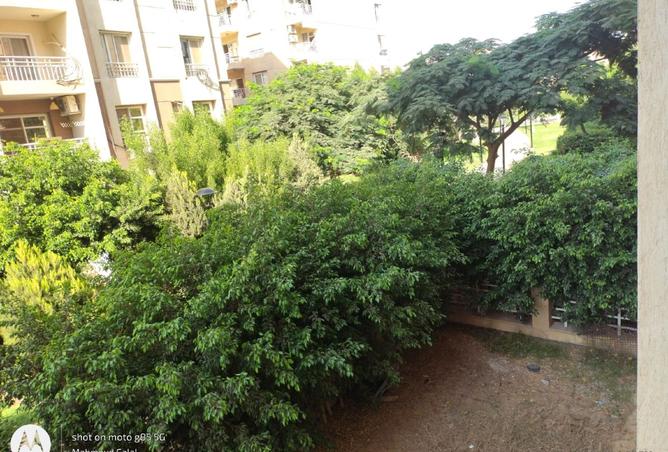 8006132 - Property Image 2