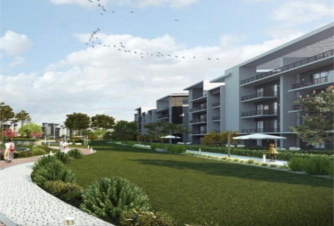 8435131 - Property Image 2