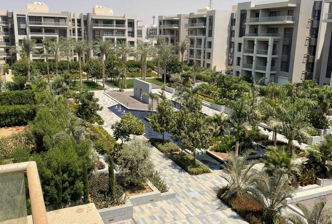 8250201 - صورة العقار 3