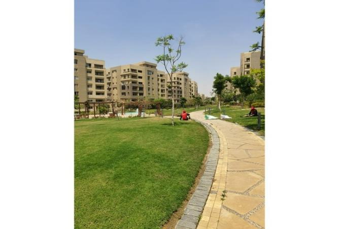 7990413 - صورة العقار 2