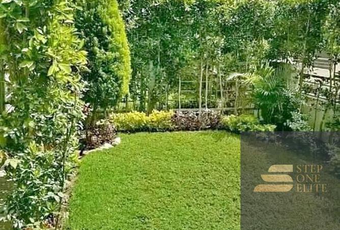 7905640 - Property Image 3