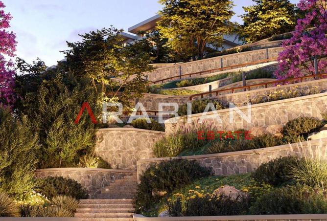 8144619 - Property Image 3