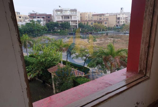8091924 - صورة العقار 2