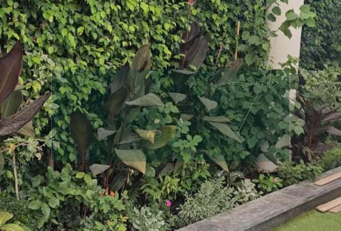 8223490 - صورة العقار 3