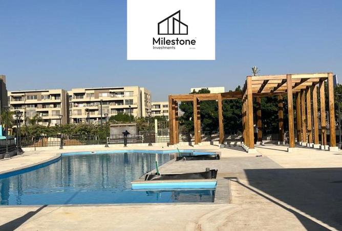 8240223 - Property Image 3