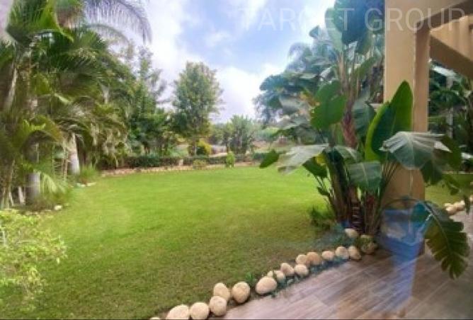 8142468 - Property Image 3