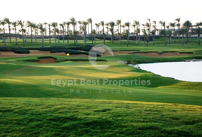7931079 - Property Image 3