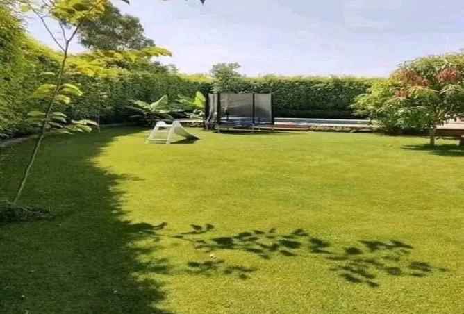 8003187 - Property Image 3