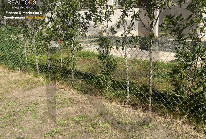 8553820 - صورة العقار 2