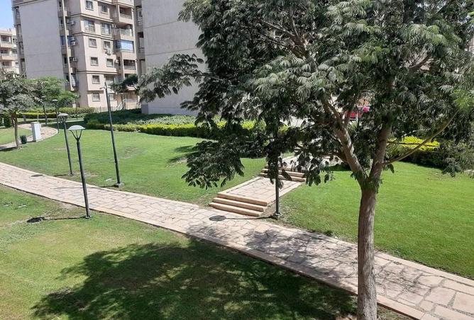 8028130 - صورة العقار 3