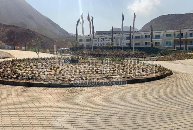 8037119 - صورة العقار 3