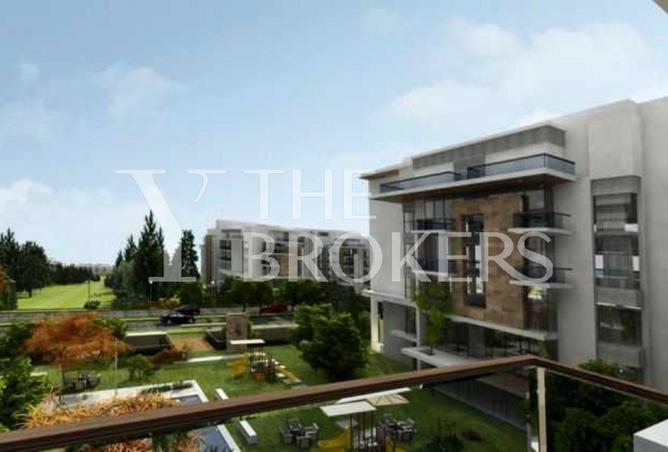 8302253 - Property Image 3