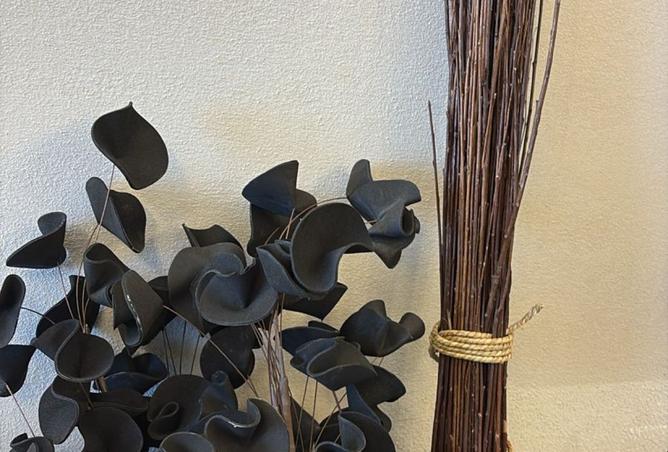 8204450 - الصورة الرئيسية للعقار