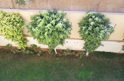 Apartment - 3 Bedrooms - 2 Bathrooms for rent in Yasmine District - 14th District - Sheikh Zayed City - Giza Apartment - 3 Bedrooms - 2 Bathrooms for rent in Yasmine District - 14th District - Sheikh Zayed City - Giza