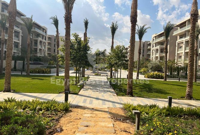 7957423 - صورة العقار 2