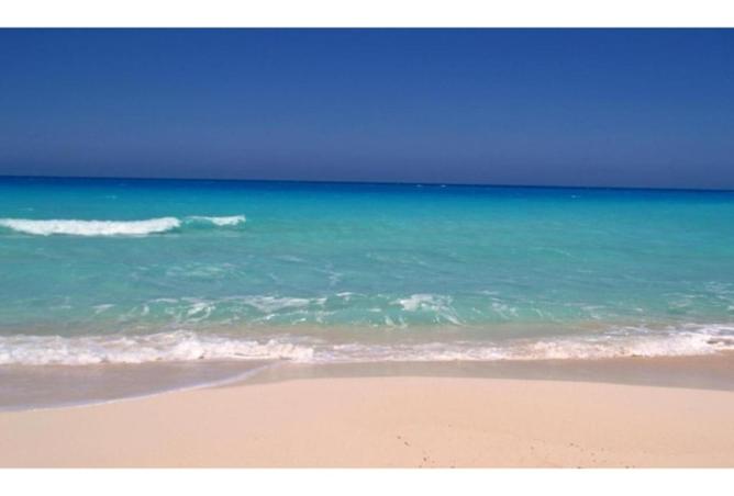 7985618 - الصورة الرئيسية للعقار
