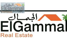 شقة - 5 غرف نوم - 3 حمامات for للبيع in شارع الاندلس - روكسي - مصر الجديدة - القاهرة