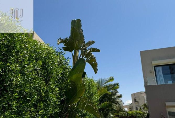 8113174 - صورة العقار 2