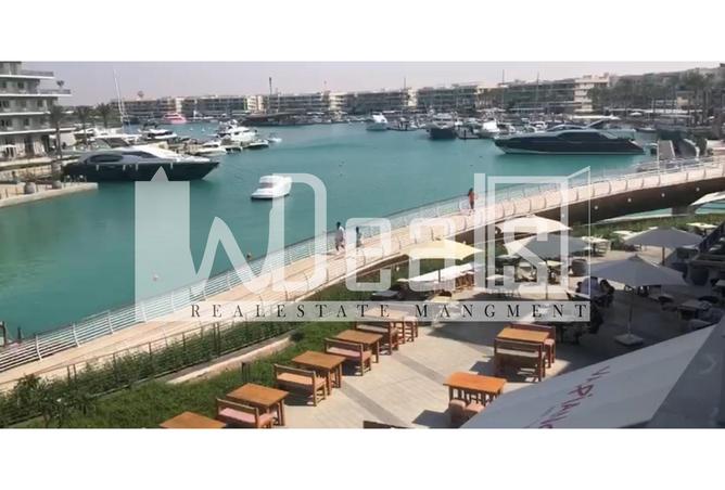 7973940 - صورة العقار 2