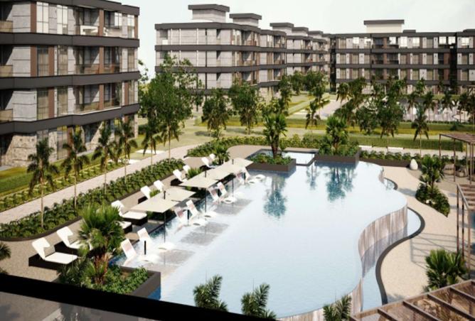 8317332 - Property Image 3