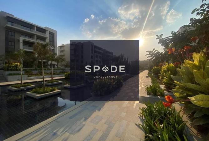 8453947 - Property Image 3