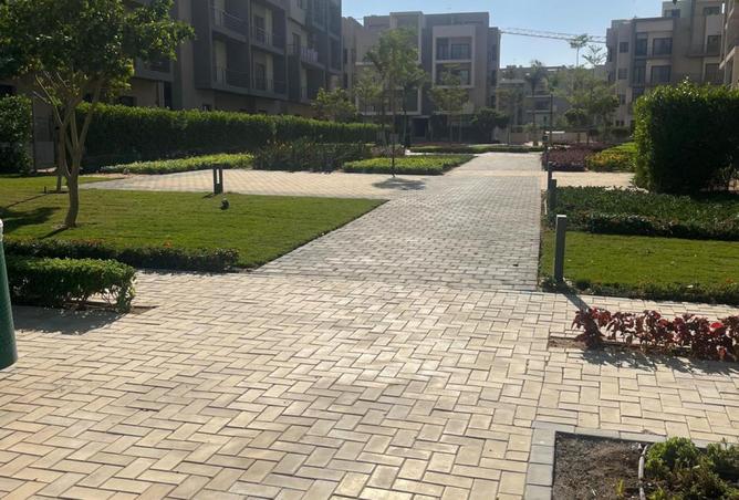 8377900 - Property Image 3